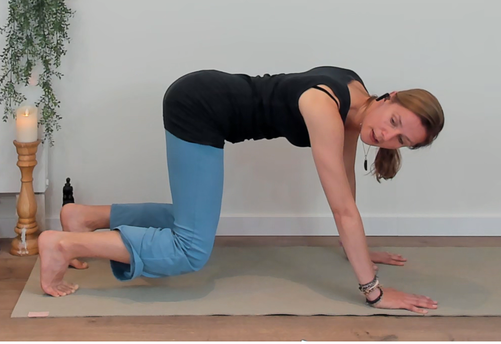 Lilian Kluivers Tianzhu 14 tijger1